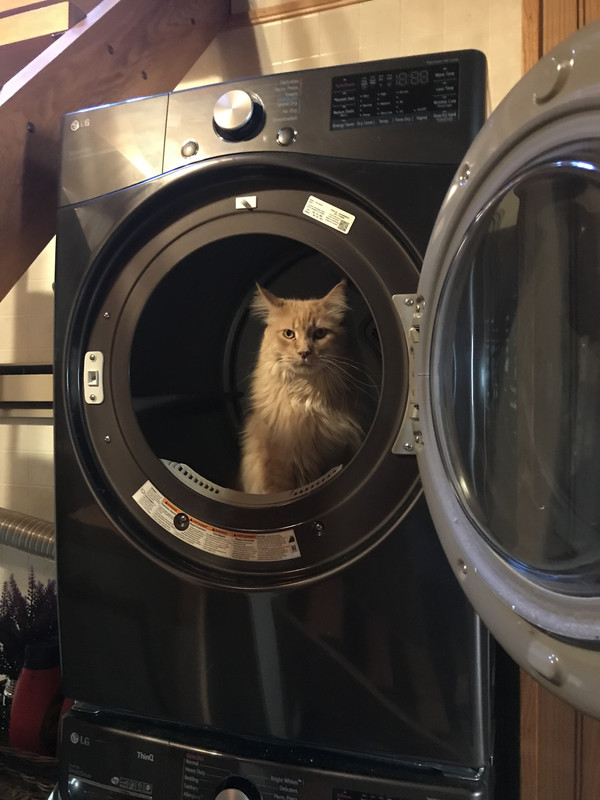 BCDBB459-F89C-471F-BB6D-D5184229946C