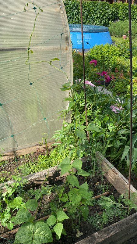 AB6AD8D4-7D5A-41E7-8FB1-85FD5C2FE156