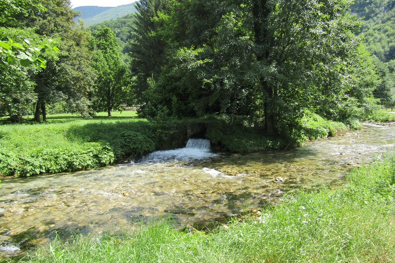 Slika