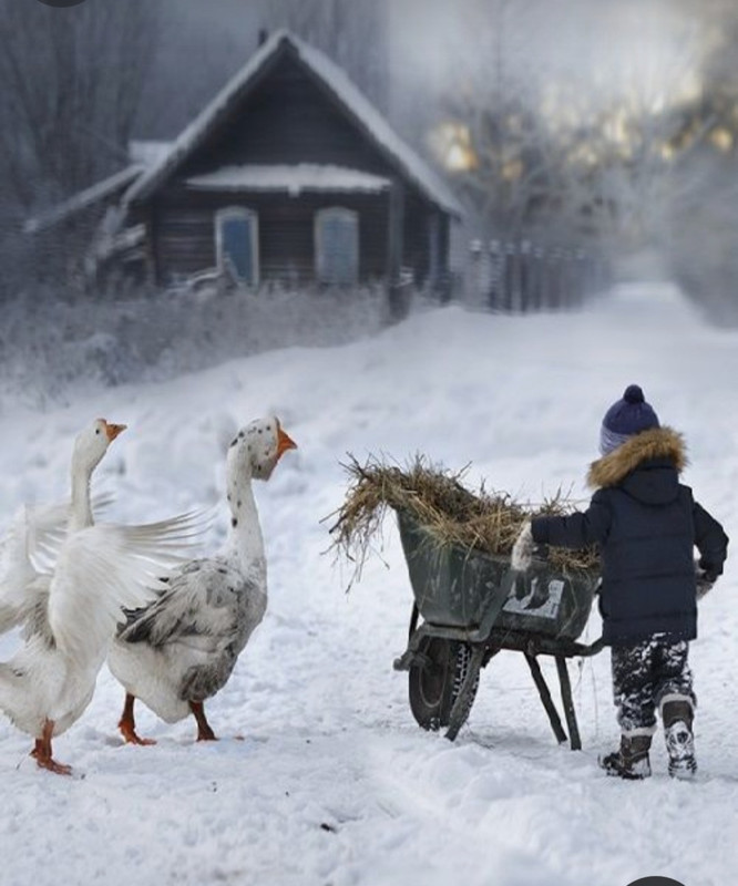 Screenshot_20231111_135302_Pinterest