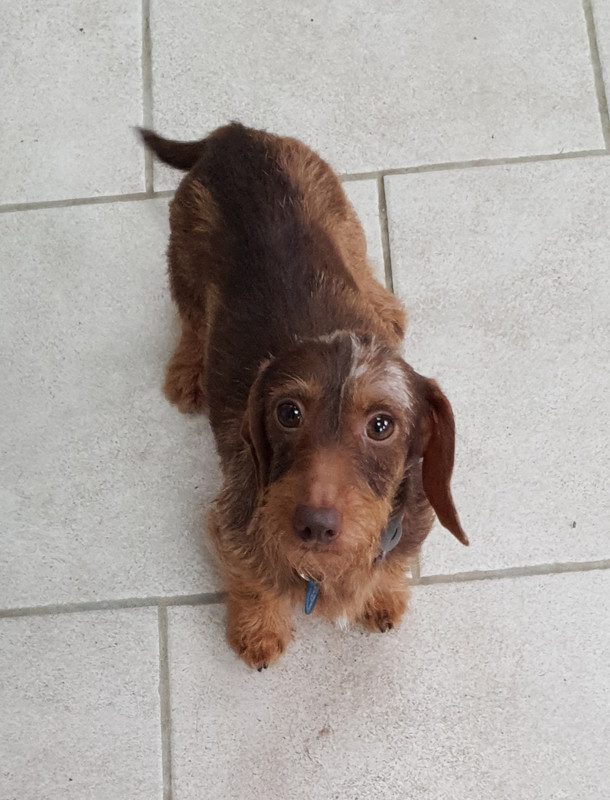 [Image: 20220113-151054.jpg]