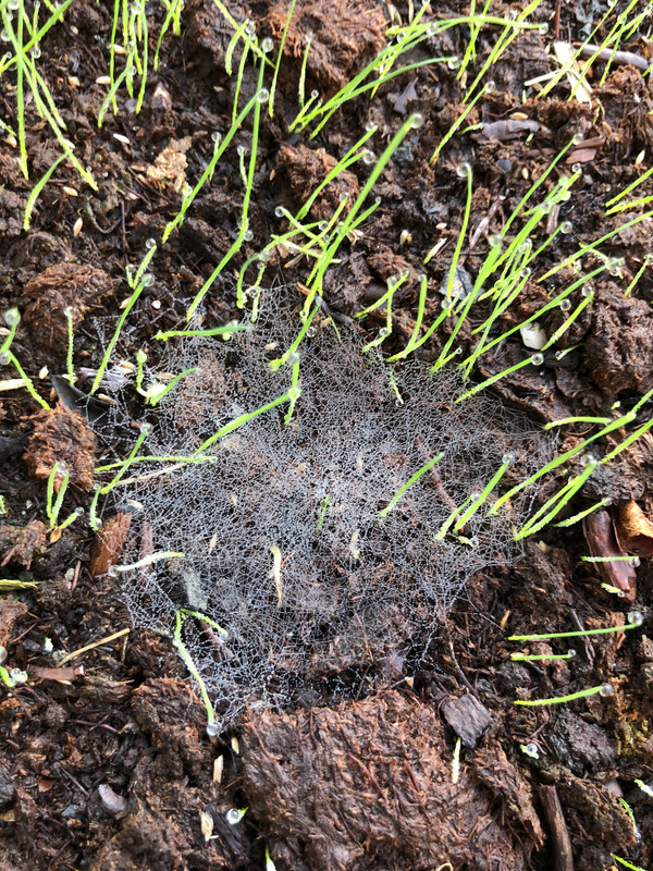 D3DF55B1-C07F-4E4F-A3AC-8D66CD793996