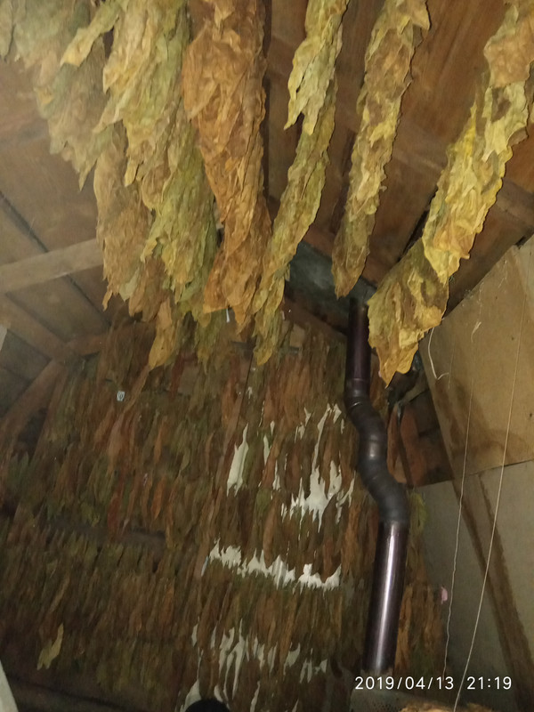 15551651667216238041184080076798