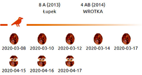 PGE Lublin. Male  Łupek (8 A - 2013) &  Female  WROTKA (4 AB - 2014) - Pagina 3 Przechwytywanie-w-trybie-pe-noekranowym-20-04-2020-082925
