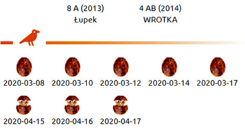 PGE Lublin. Male Łupek (8 A - 2013) & Female WROTKA (4 AB - 2014) - Pagina 3 Przechwytywanie-w-trybie-pe-noekranowym-20-04-2020-082925