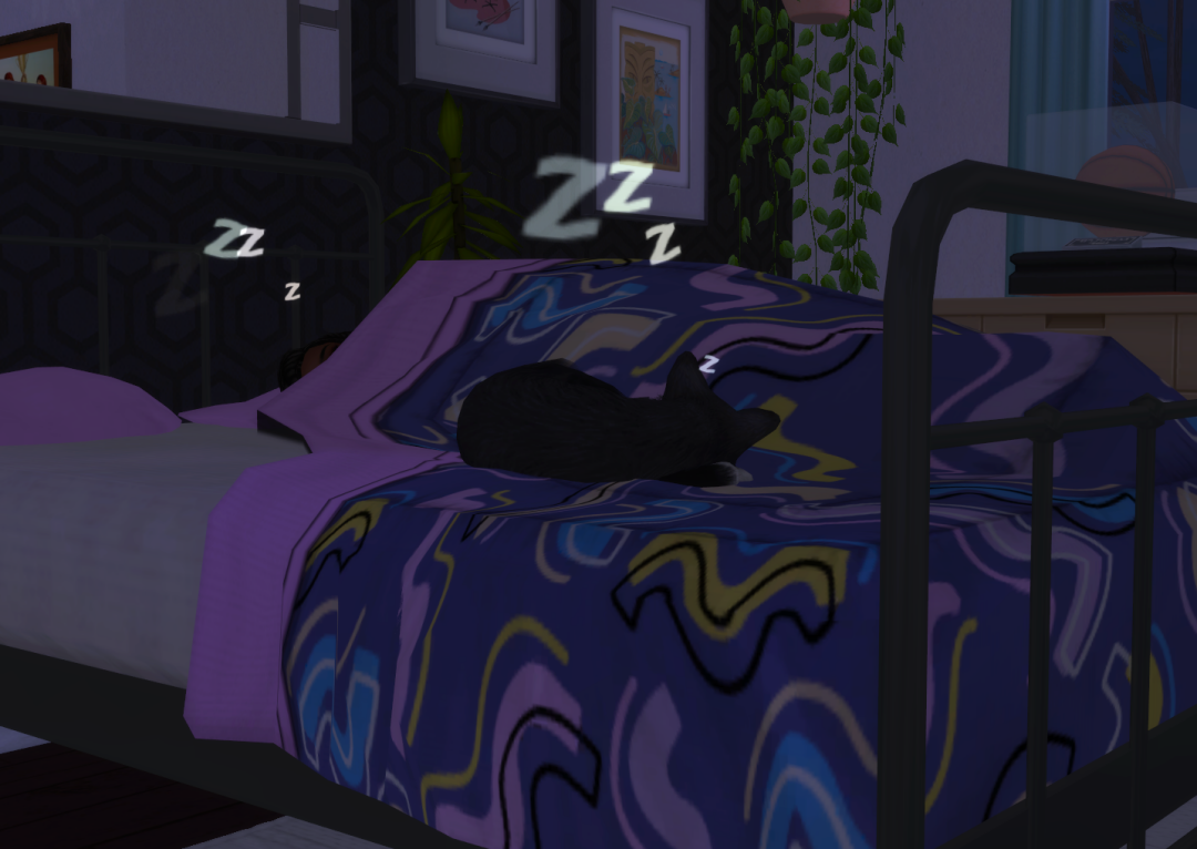 Sims2-EP9-RPC-2024-02-24-20-47-27-18