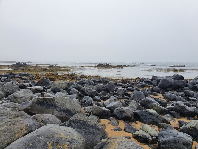 DIA 7: DE REYKJAVIK A LA PENINSULA DE SNAEFELLSNES (HELLNAR) - Islandia en tiempos de Covid. Y con Camper! (8)