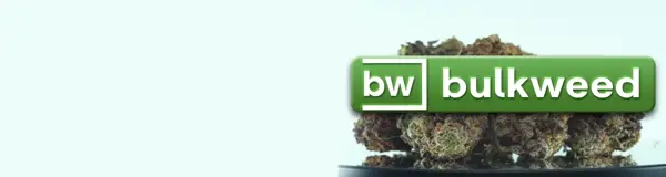 Comp1-ezgif-com-video-to-webp-converter.webp
