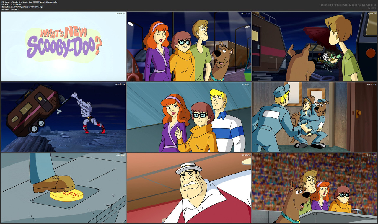 What's New Scooby-Doo S03E03 Wrestle Maniacs.mkv