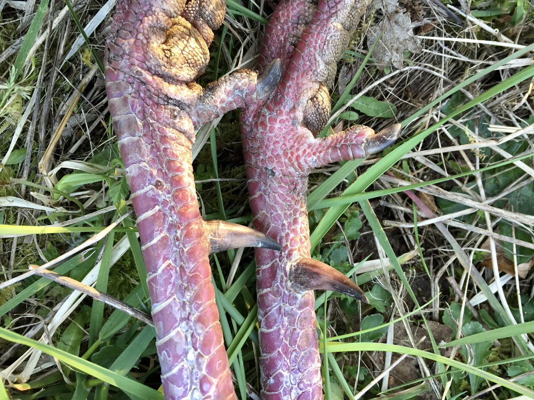 C4F1E69E-542A-45CA-BB10-7E94D28A364F