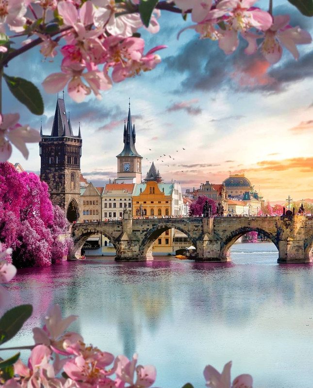 169523260-3915959865191424-7217960415844596394-n