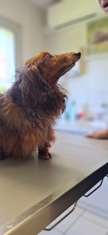 [Image: 20250331-172149.jpg]