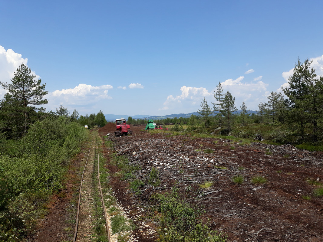 04.13 - 20180601_115502 (Mysikrólik)