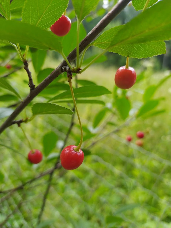 IMG_20230715_162358_1