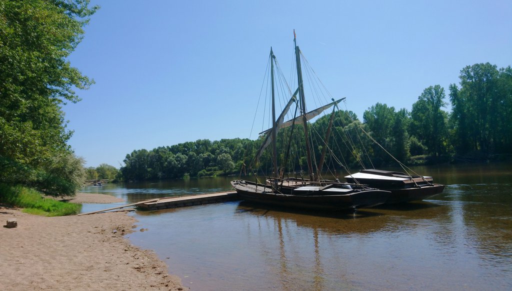 [Image: DSC-2023-08-21-2.jpg]