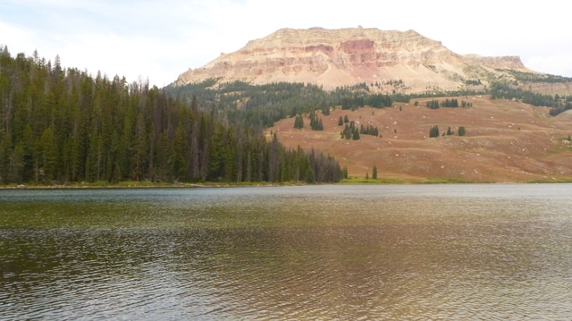P1280299