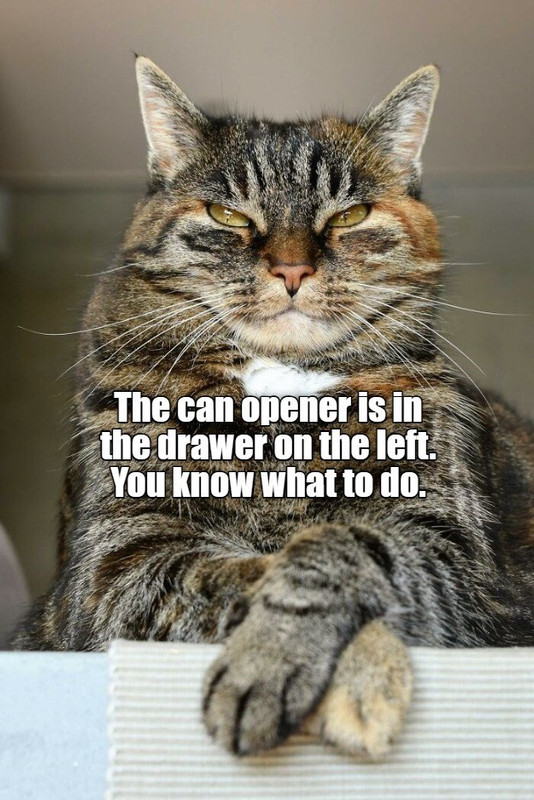 hurry-up-human