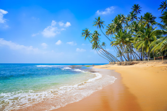 South cost beaches