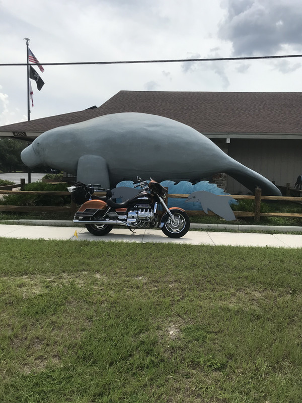 A5A286F6-A53E-4D12-97EE-E86DAC76AFC7