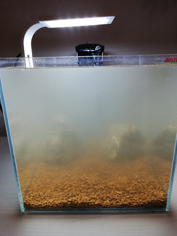 Caridinaio 30x30x30 (1)