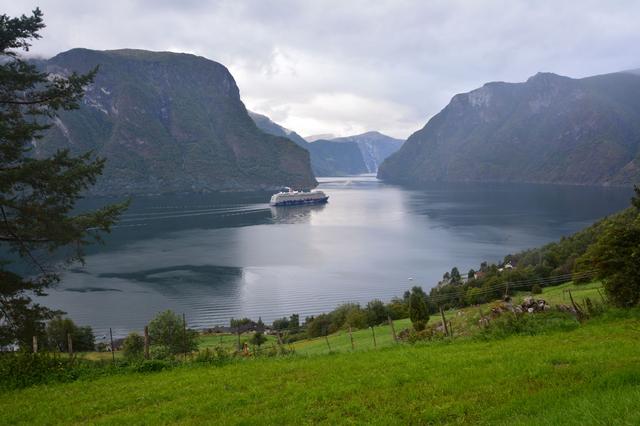 Día 10. Crucero por el Naeroyfjord - 21 días por el Sur de Noruega (10)