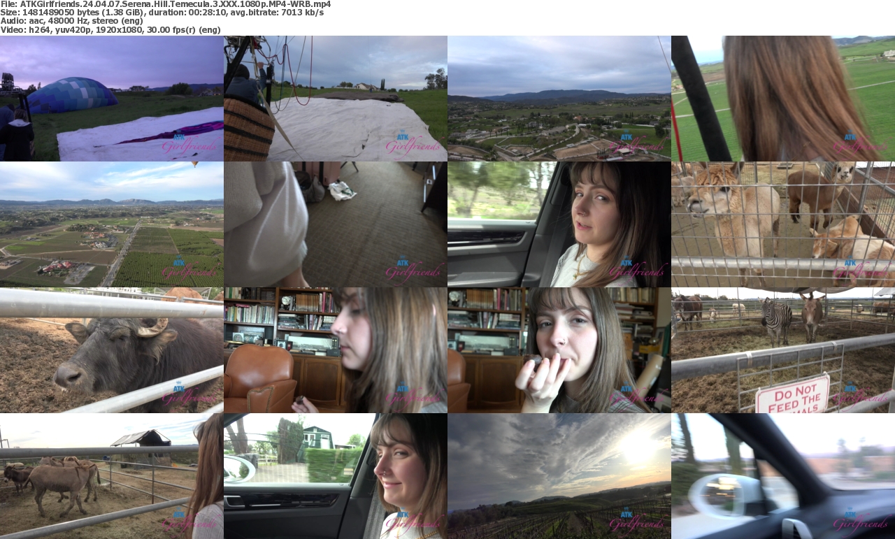 07042024111418screenshot