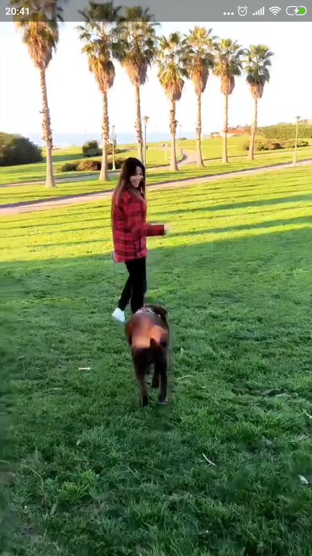 Screenshot_2018-12-26-20-41-54-954_com.instagram.android