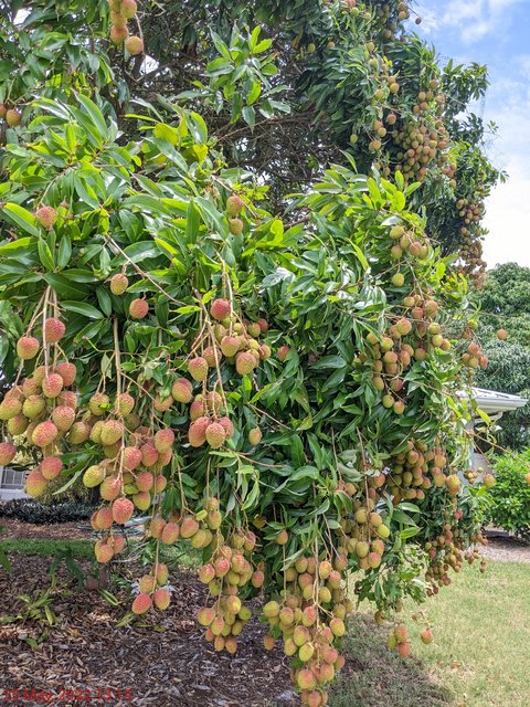 [Image: PXL-20220525-171541772.jpg]