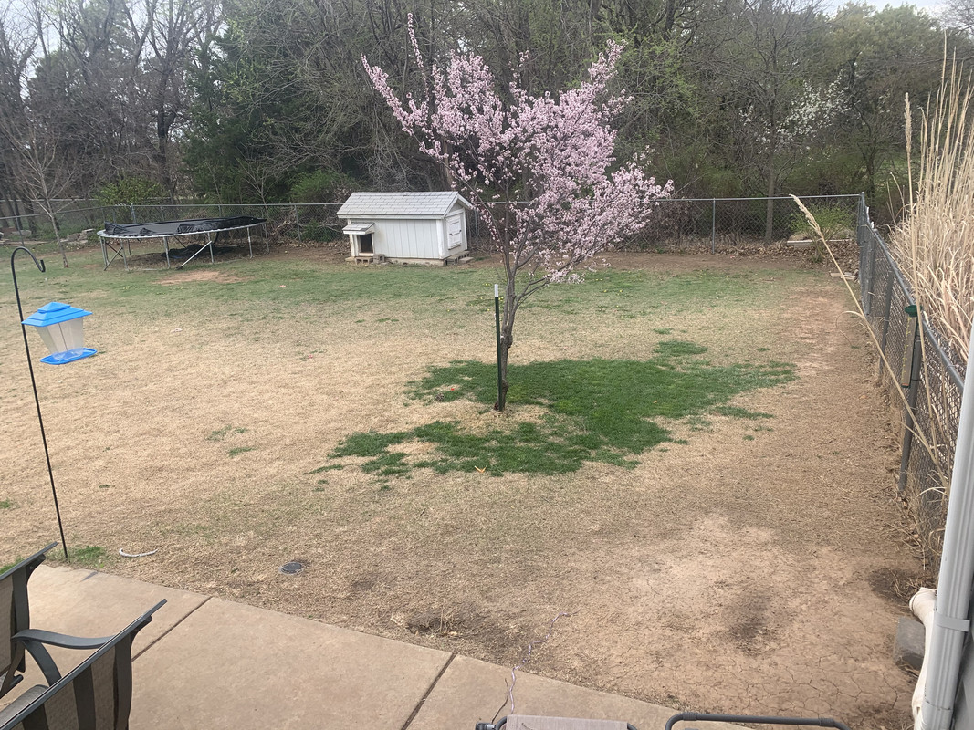 F7CE74AB-D196-4E14-BD22-91B3E98E8800