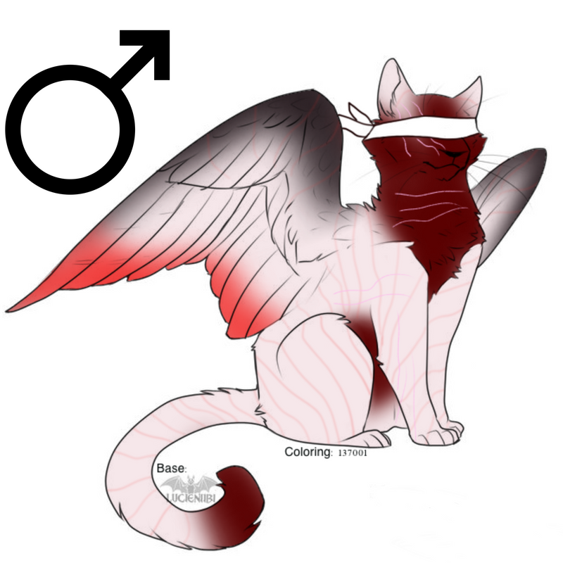 Sato-Winged-cat.png