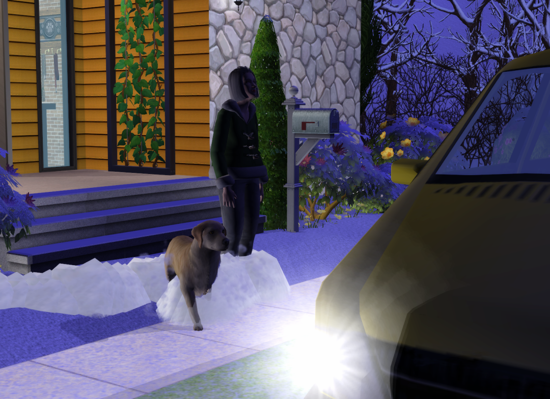 Sims2-EP9-RPC-2022-09-03-22-06-41-88