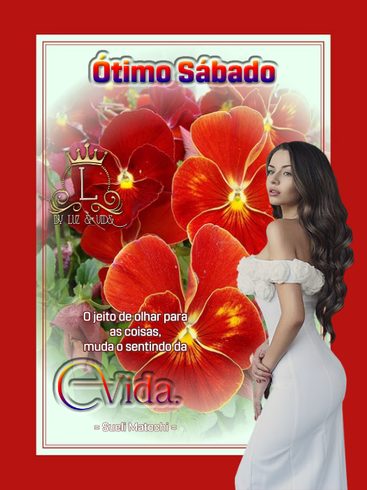 14-NOVOS-MB-maryluz.png