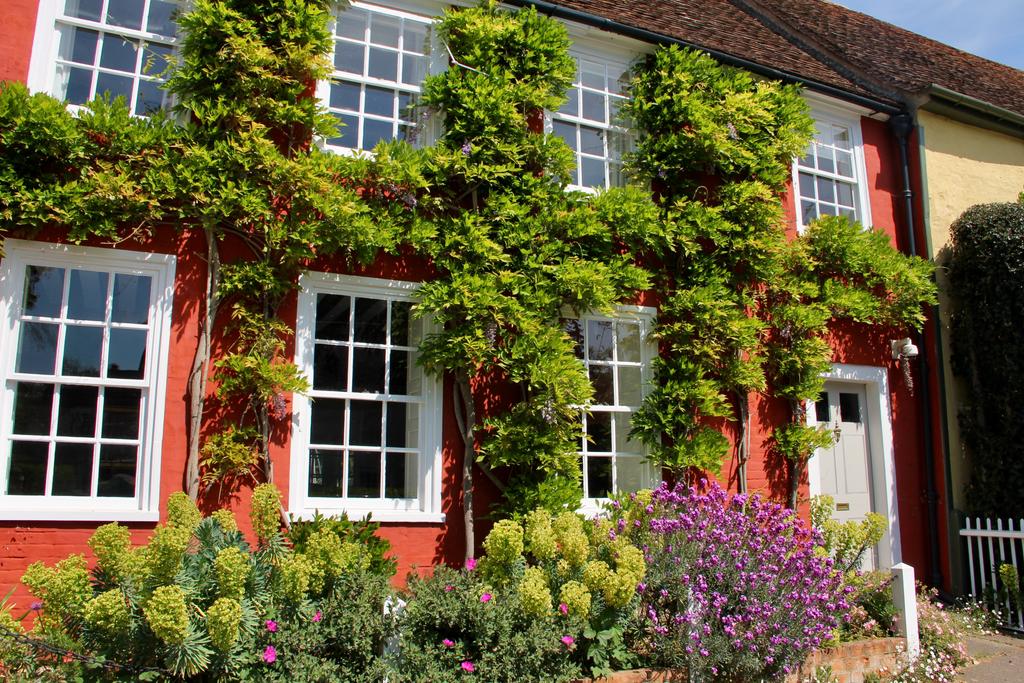 Пёстрая лента. Путешествие по сельским дорогам Англии в мае 2025 г.