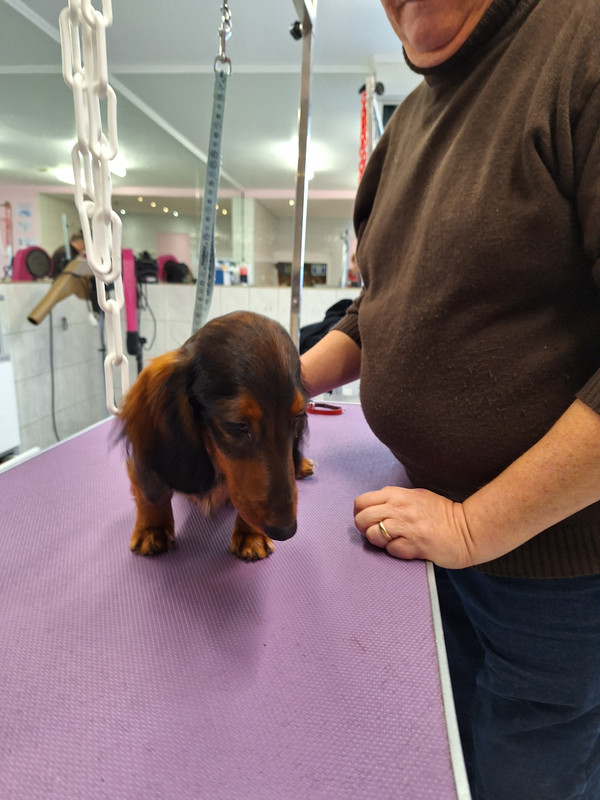 [Image: 20240208-143425.jpg]