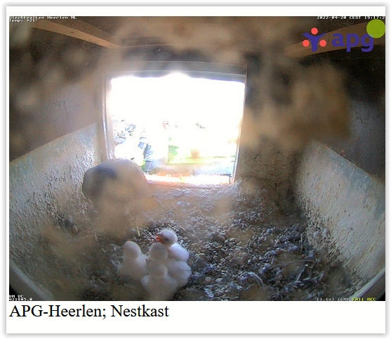 Screen Shot 04-20-22 at 07.17 PM