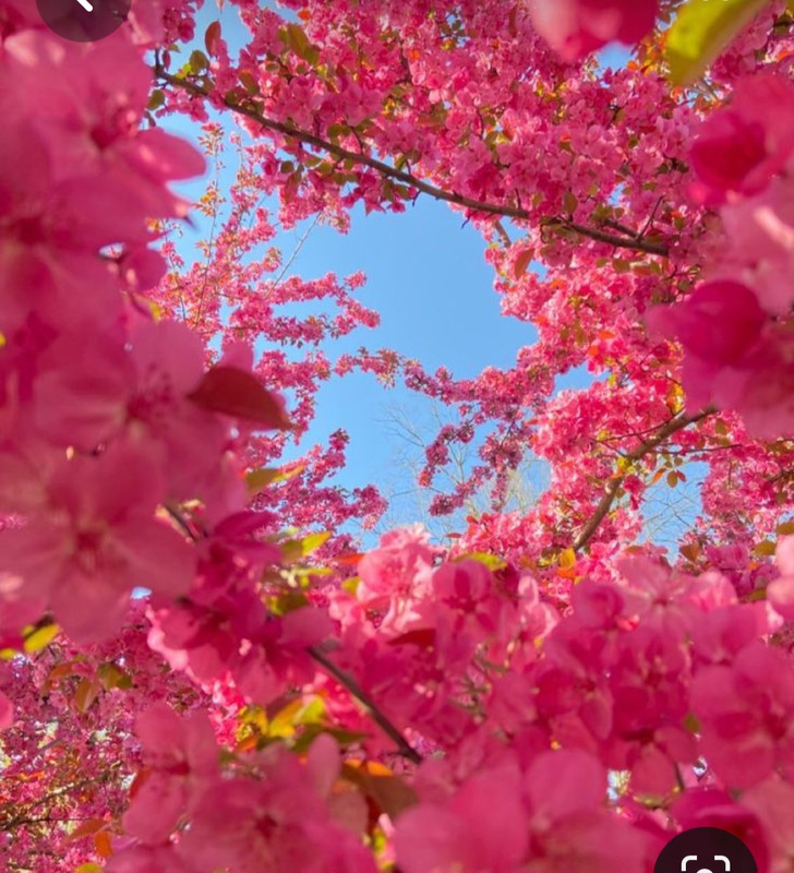 Screenshot_20230721_221800_Pinterest