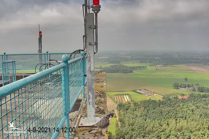 campics vanaf 1 juli © VWGGemert en bonusjes van ter plekke - Pagina 23 8