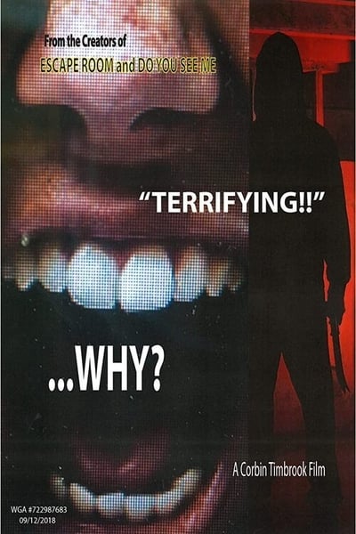 why-2021-hdrip-xvid-ac3-evo.jpg