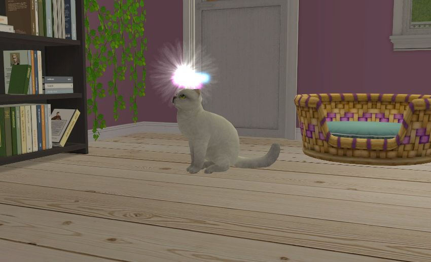 Sims2-EP9-2020-11-15-16-50-52-37