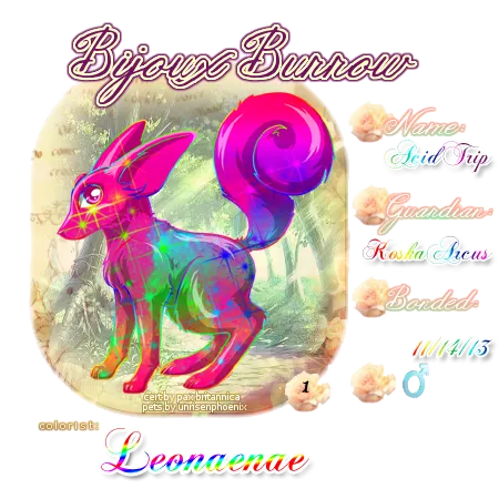 User Image