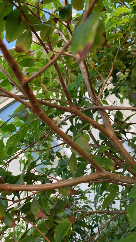 BCB86916-D198-4FC2-ADD1-EE291606F223