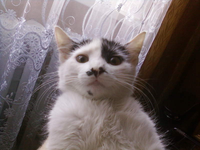 Я с родинкой