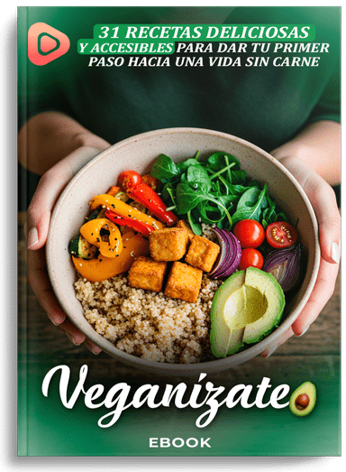Comida vegana