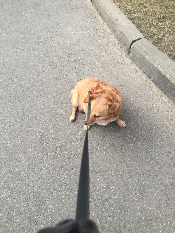 27F2CBDA-9D83-4B59-B562-B24871479F0F