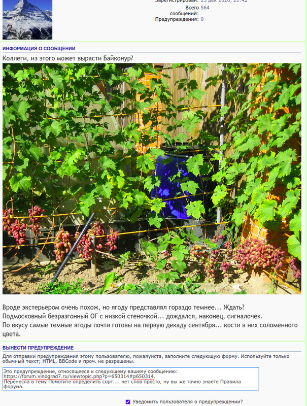 Снимок экрана от 2024-09-08 20-21-02