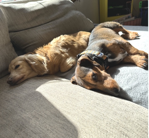 [Image: IMG-7660.jpg]