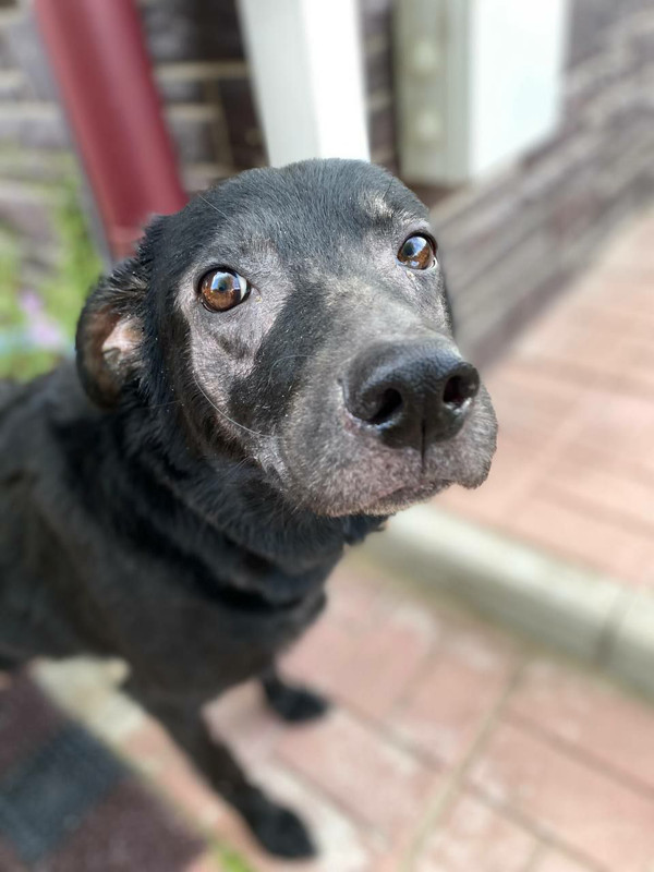 photo_2023-09-11_17-57-18 (2)