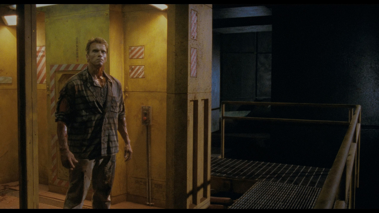 [Image: Total-Recall-14.jpg]