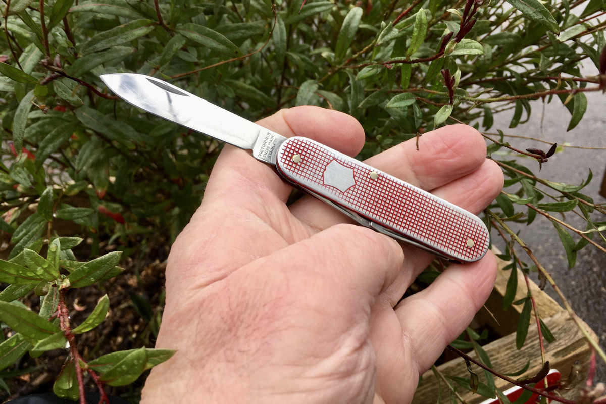 837A7946-AD45-4F48-A531-5B08261CE1F3