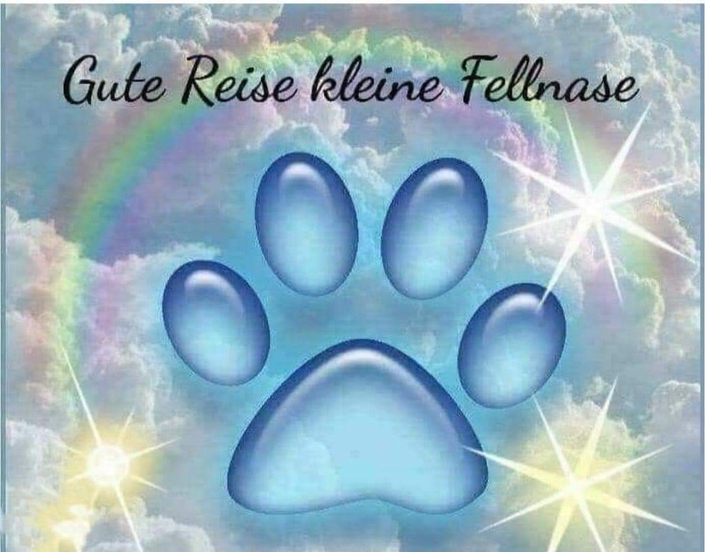 [Image: FB-IMG-1716929671110.jpg]